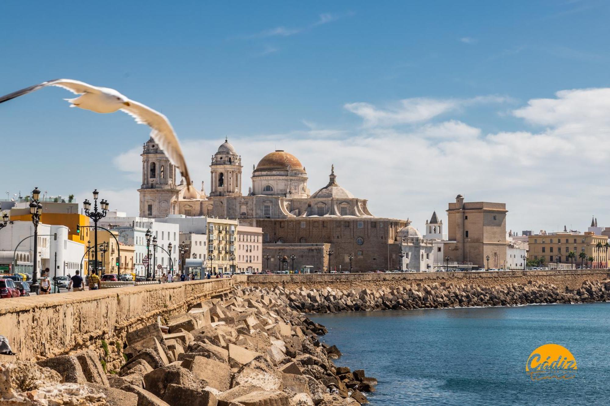Loft Victoria Beach - Free Parking By Cadiz Time Exteriör bild
